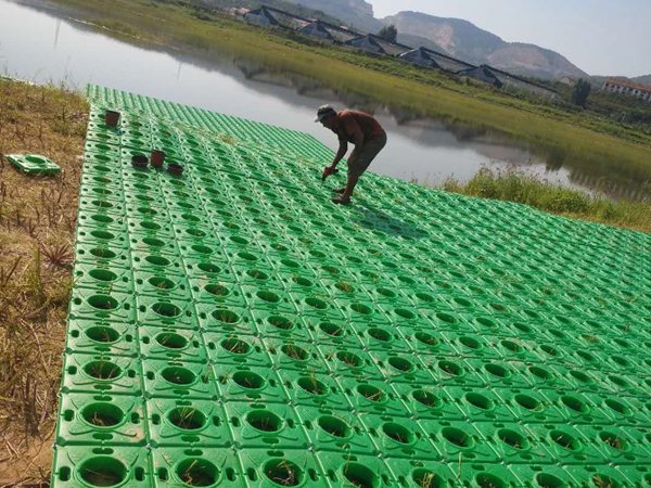 人工水生植物浮岛