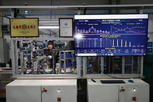 完整准确全面贯彻新发展理念 坚定不移推动区域高质量发展