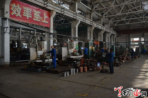 王军调研天水岷山厂片区规划建设情况