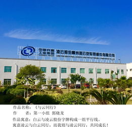 一颗红心永向党,建功立业新时代 凌云西南区域柳州工厂党支部举办 中国梦 凌云梦 主题摄影活动