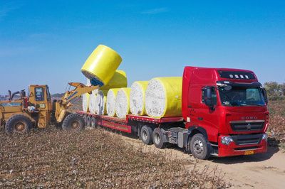 非凡十年 | 新疆生产建设兵团︰努力形成新时代兵团维稳戍边新优势