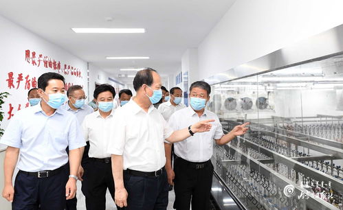 石泰峰深入巴彦淖尔市调研督导 抓实“六稳”“六保” 筑牢发展根基